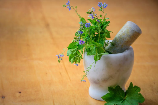 4 Revolutionary Healthy Hair Spa Ingredients and Why They Work